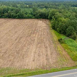 Photo #6 of TBD Lot 8 Mount Olive Church Rd., Nichols, SC 1.9 acres