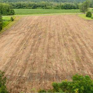 Photo #5 of TBD Lot 7 Mount Olive Church Rd., Nichols, SC 1.4 acres