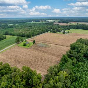 Photo #3 of TBD Lot B5 Mount Olive Church Rd., Nichols, SC 4.8 acres