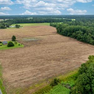 Photo #1 of TBD Mount Olive Church Rd., Nichols, SC 23.5 acres