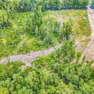 Photo #16 of Lot 4 Kellys Cove Dr., Conway, SC 1.3 acres