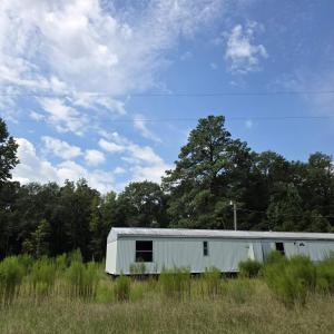 View of yard featuring a forest view