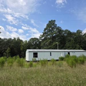 View of yard with a wooded view