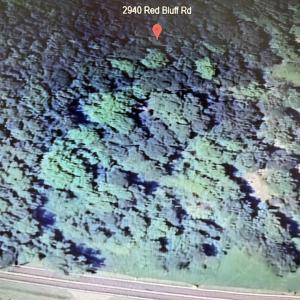Photo #5 of 2940 Red Bluff Rd., Loris, SC 4.9 acres