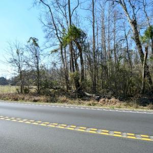 Photo #3 of 2940 Red Bluff Rd., Loris, SC 4.9 acres