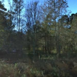 Photo #10 of 2940 Red Bluff Rd., Loris, SC 4.9 acres