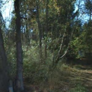 Photo #7 of 2940 Red Bluff Rd., Loris, SC 4.9 acres