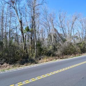 Photo #2 of 2940 Red Bluff Rd., Loris, SC 4.9 acres