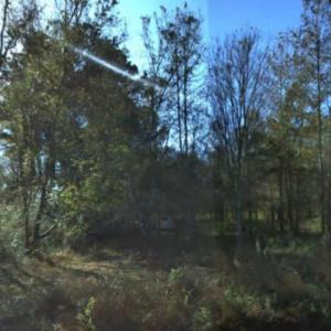 Photo #9 of 2940 Red Bluff Rd., Loris, SC 4.9 acres