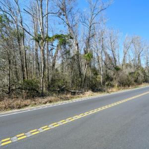 Photo #1 of 2940 Red Bluff Rd., Loris, SC 4.9 acres