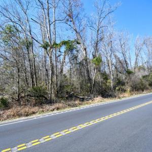 Photo #4 of 2940 Red Bluff Rd., Loris, SC 4.9 acres