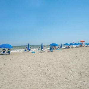 Photo #16 of 802 12th Ave. S, North Myrtle Beach, SC 0.2 acres