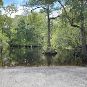 Water view with a heavily wooded area