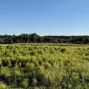 View of tree filled area featuring a view of rural