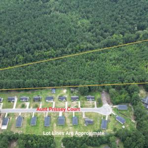 View of property location with a heavily wooded ar
