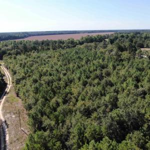 Drone / aerial view of a heavily wooded area