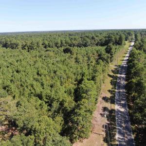 Drone / aerial view of a heavily wooded area