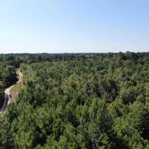 Bird's eye view of a heavily wooded area