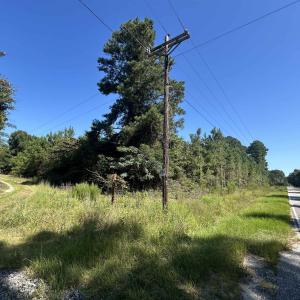 View of asphalt street with a forest view