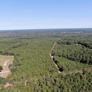 View of property location featuring a forest