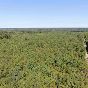 Drone / aerial view of a forest