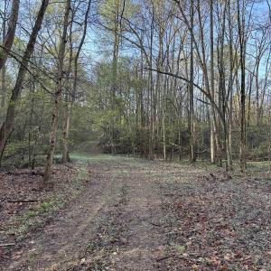 View of Path along the creek.