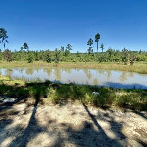 Photo #4 of 1259 Cheyenne Rd., Conway, SC 8.8 acres