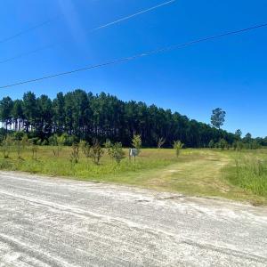 Photo #3 of 1259 Cheyenne Rd., Conway, SC 8.8 acres