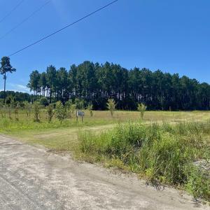 Photo #2 of 1259 Cheyenne Rd., Conway, SC 8.8 acres