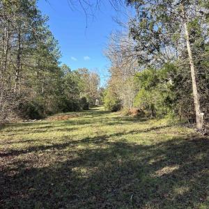 View of grassy yard featuring a wooded view