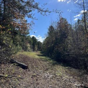View of yard featuring a wooded view