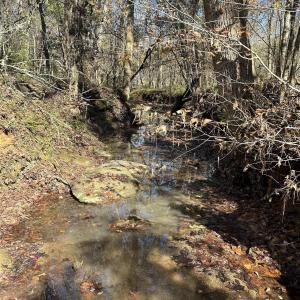 View of undeveloped land