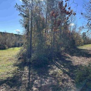 View of yard featuring a wooded view