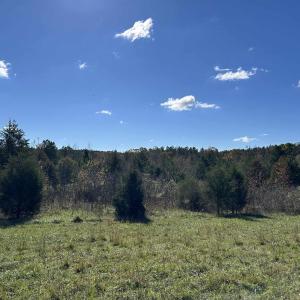 View of undeveloped land