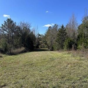 View of grassy yard with a forest view