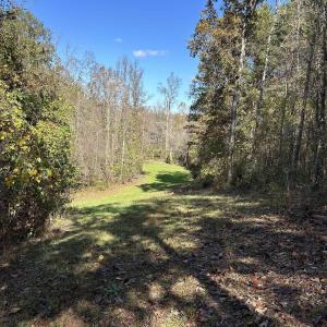 View of green lawn featuring a forest view