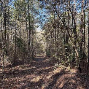 View of undeveloped land