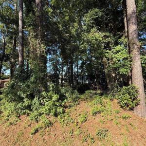 Photo #6 of Lot 547 Circle Dr., Surfside Beach, SC 0.2 acres