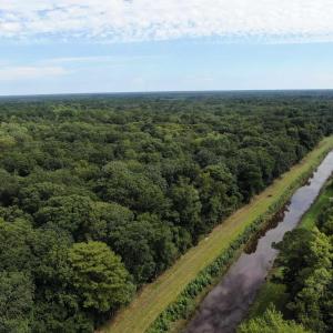 Photo #4 of 845 Old Buck Creek Rd., Longs, SC 225.0 acres