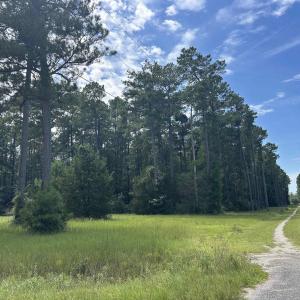 Photo #8 of 845 Old Buck Creek Rd., Longs, SC 225.0 acres