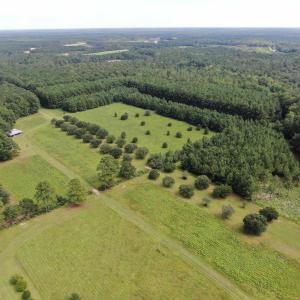 Photo #6 of 845 Old Buck Creek Rd., Longs, SC 225.0 acres