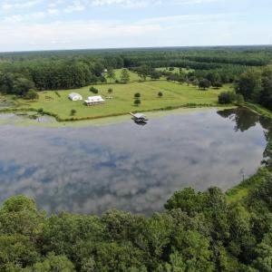 Photo #5 of 845 Old Buck Creek Rd., Longs, SC 225.0 acres