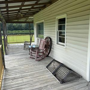 Photo #23 of 845 Old Buck Creek Rd., Longs, SC 225.0 acres