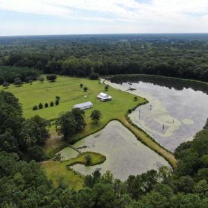 Photo #3 of 845 Old Buck Creek Rd., Longs, SC 225.0 acres