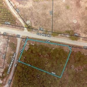 Photo #1 of 12155 Gapway Rd., Andrews, SC 1.0 acres
