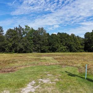 Photo #12 of TBD 5 Woodrow Ln., Loris, SC 1.9 acres