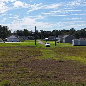 View of grassy yard