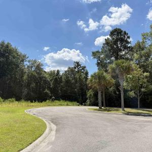 View of asphalt road with curbs and a view of tree