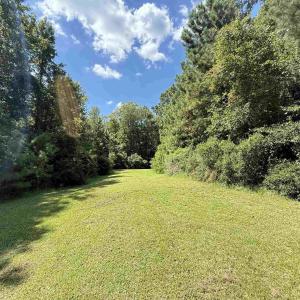 View of grassy yard featuring a forest view