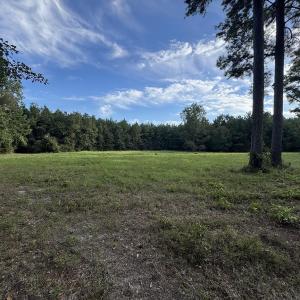 View of cleared 2 acres with a wooded view
